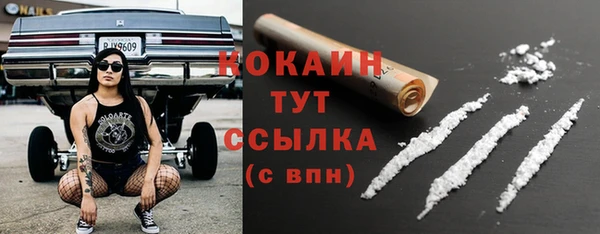 мяу мяу мука Горно-Алтайск