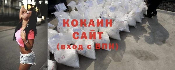 мяу мяу мука Горно-Алтайск