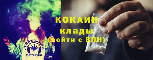 амф Вяземский