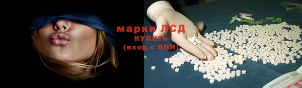 мяу мяу мука Горно-Алтайск