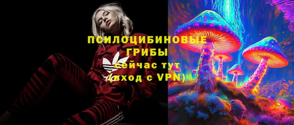 мяу мяу мука Горно-Алтайск