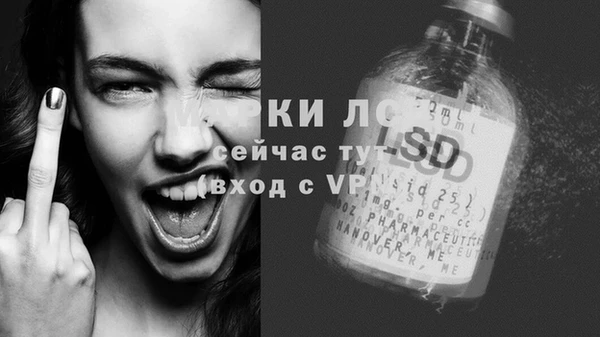 apvp Горняк