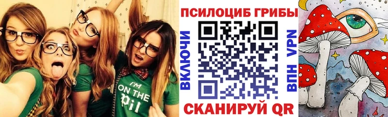 Купить  Куйбышев  Галлюциногенные грибы Psilocybine cubensis 